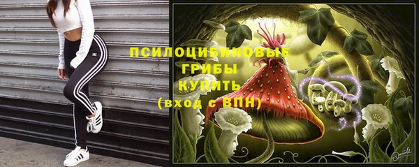 гашик Алексеевка