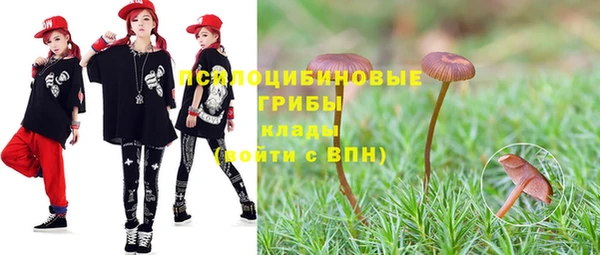 гашик Алексеевка
