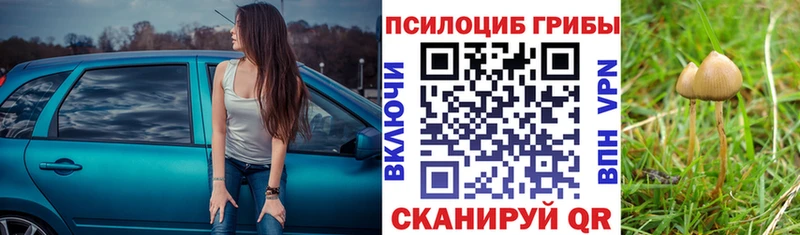 Галлюциногенные грибы Cubensis  Жуков 